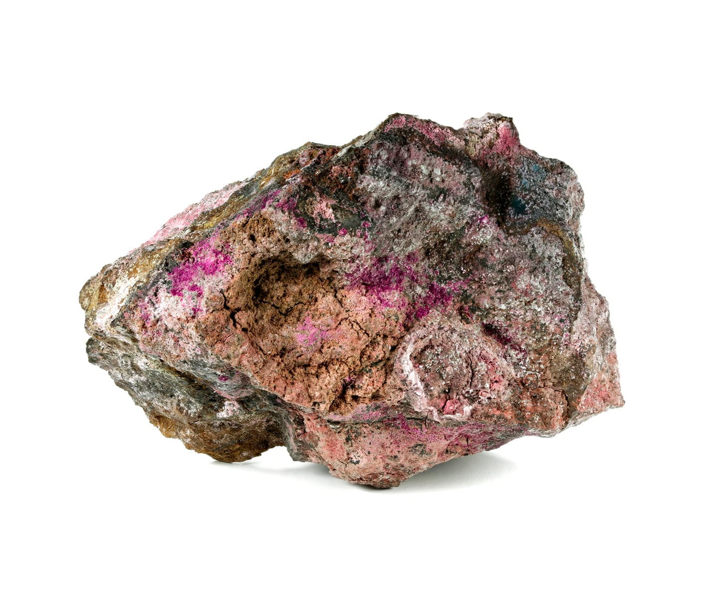 Eritrina