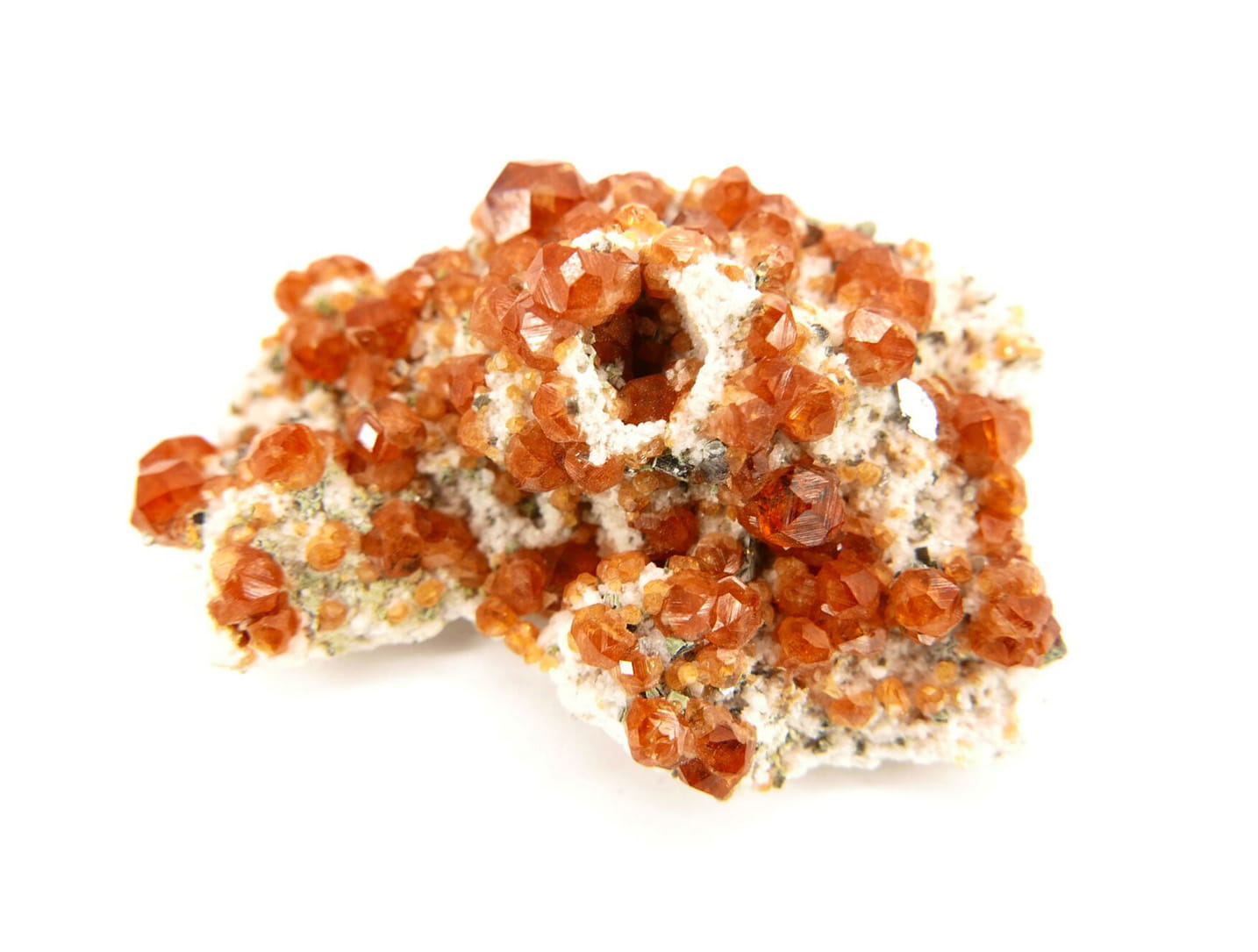 Grosularia
