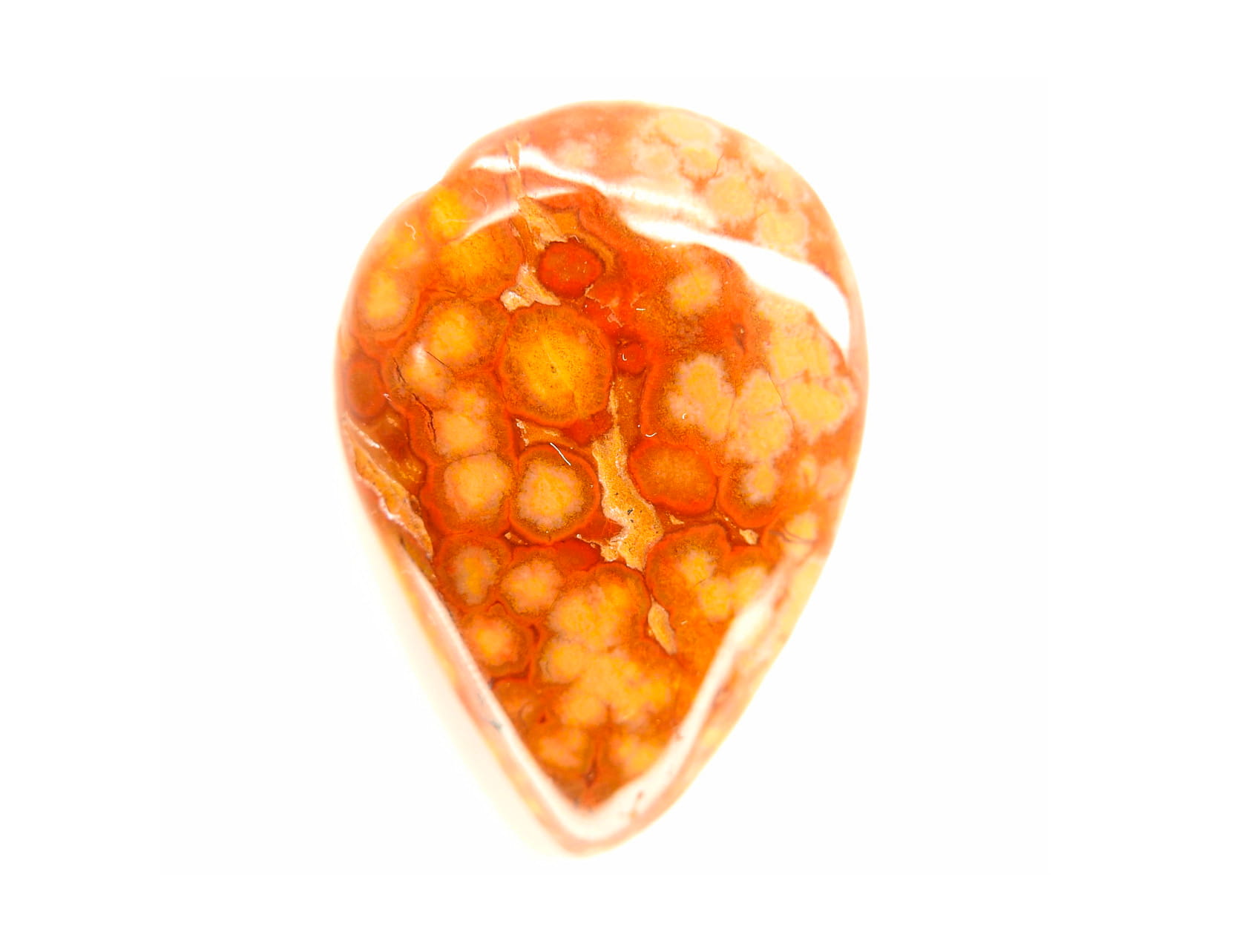 Jaspe Orbicular