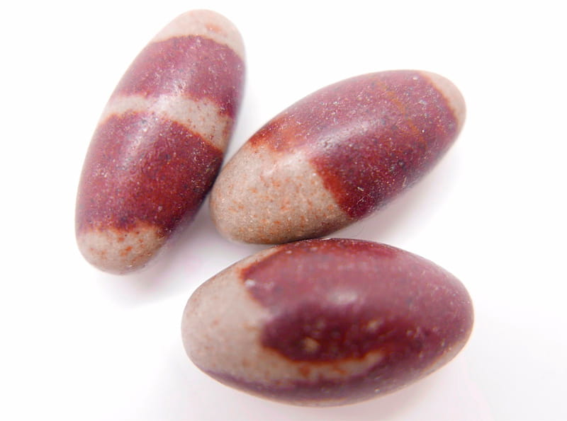Lingam