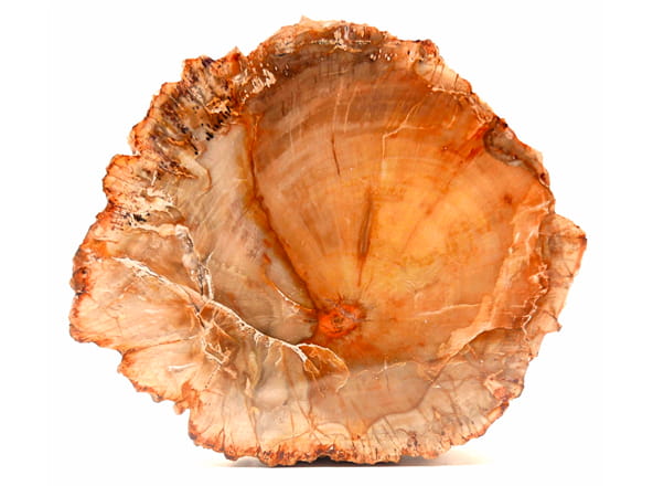 Xilópalo