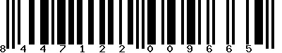 EAN-13 : 8447122009665